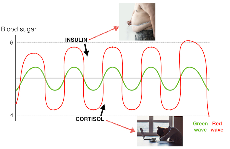 Blood sugar curve