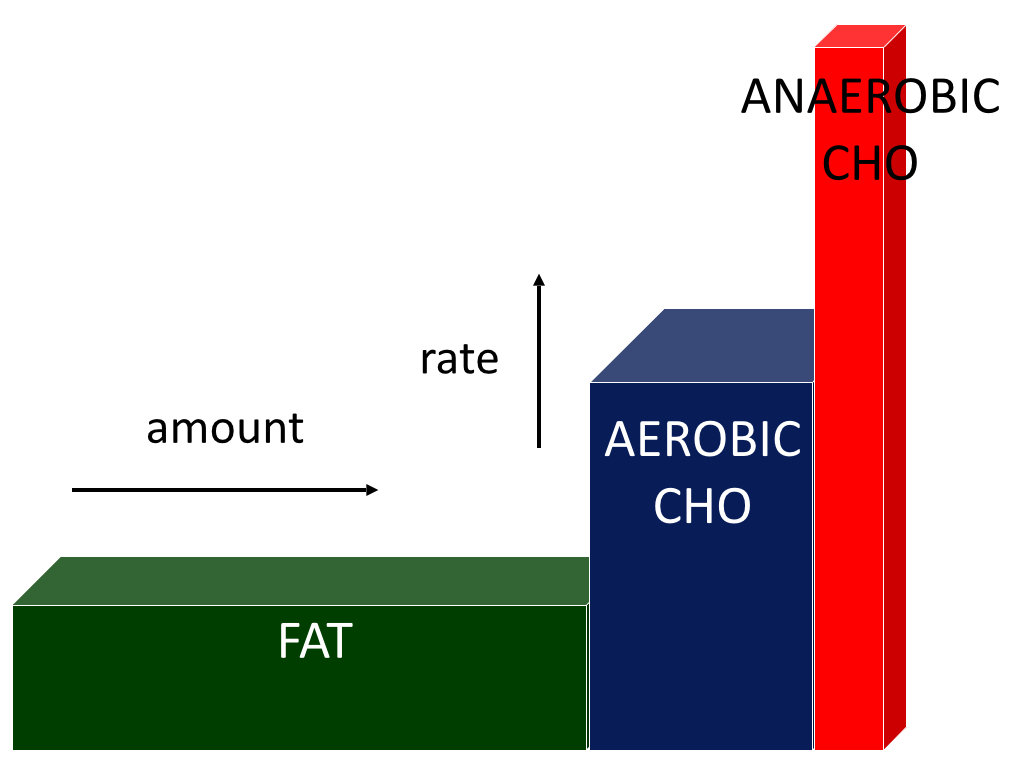 Roger Harris image.001